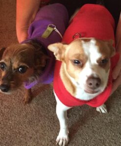 Gooby Fleece Vest Dog Sweater - Lavender, Medium - Warm Pullover Fleece Dog Jacket with O-Ring Leash - Winter Small Dog Sweater Coat - Cold Weather Dog Clothes for Small Dogs Boy or Girl Medium chest (~16") 38 51gscPWqzkL