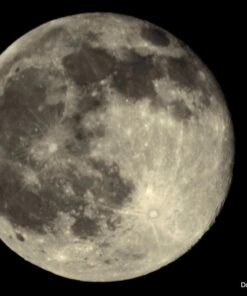 Nikon ML-L3 Wireless Remote Control 42 51guD5NDcuL