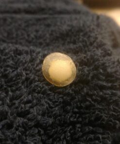 Nexcare Acne Cover, Skin Cover Absorbs Pus and Oil From Clogged Pores, Suitable Skincare for Most Skin Types - 36 Acne Covers 36 Count (Pack of 1) 37 51h EFGjJeL