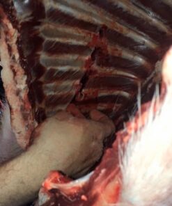 Swhacker SWH00207 #207 2 Inch Cut Broadheads Set of 3-100 Grain, Green, 2" 42 51hAqCsahL