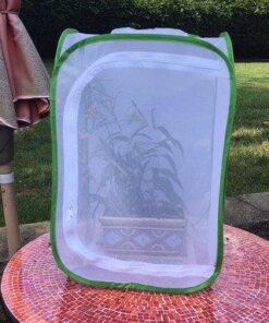 RESTCLOUD Insect and Butterfly Habitat Cage Terrarium Pop-up 24 Inches Tall with 10Pcs 10ML Floral Tubes 40 51hT5wQTwQL