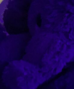 ebba™ Playful Lil Benny Phant™ Baby Stuffed Animal - Soft & Cuddly Toy - Imaginative Play - Gray 10 Inches Jungle 10-Inches 26 51hTVI8oppL