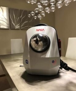 Nasa Seal USA Space Cosmos Logo Vinyl Sticker 2" 2 in 7 51haBQUBDWL