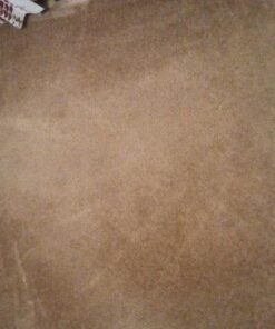 Carpet Miracle - Carpet Cleaner Shampoo Solution for Machine Use, Deep Stain Remover and Odor Deodorizing Formula, Use On Rug Car Upholstery and Carpets (32FL OZ) Spring Mint Scent 32 Fl Oz (Pack of 1) 49 51hjCrdwKeL