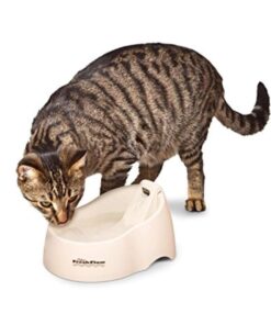 Alternative view of Petmate Deluxe Fresh Flow Cat, Bleached Linen, 50 Oz, 1 Count (Pack of 1) Small