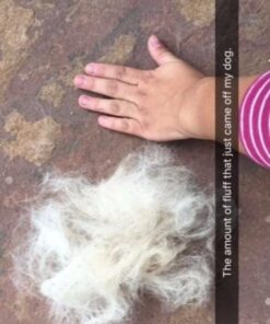 Mr. Peanut's Grooming Glove Brush and Deshedding Aid - Pet Hair Remover Mitt - for Long and Short Hair Grooming of Dogs, Horses, Bunnies and Some Agreeable Cats 34 51i7xvC6BIL