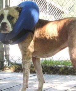 PetSilver Wound & Skin Spray with Chelated Silver, Made in USA, Vet Formulated, All Natural Pain Free Formula, Relief for Hot Spots, Wounds, Rashes and Various Skin Issues, 16 fl oz 16 oz. 16 51i9hOfWEhL