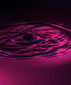 Neewer TT560 Flash Speedlite for Canon Sony Nikon Panasonic Olympus Pentax and Other DSLR Cameras, Digital Camera Speedlight with Standard Hot Shoe Standard Packaging 56 51iZuLF aL