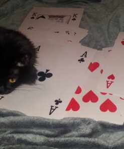 Forum Novelties Mega Jumbo Face Extra Large Playing Cards- 11" X 8" Big Full Deck 12 51ifbDsLxEL