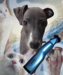 Oster Gentle Paws Less Stress Dog and Cat Nail Grinder, 2 Speed (078129-600-000) Blue 38 51ij2sJziPL