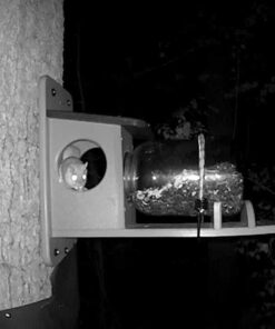 Birds Choice SNSQJAR Recycled Squirrel Jar Feeder, Squirrel Feeders, 7-1/4"L X 19"W X 15-3/4"H, Taupe w/ Green Roof 47 51iqhHvagrL