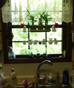 Beautiful Views Hanging Window Plant Shelves (4 Shelves) 4 Shelves 20"x6"x54" 44 51ivwkeYAgL