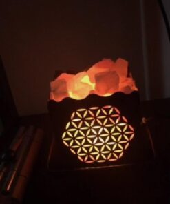 CRYSTAL DECOR Himalayan Pink Salt Lamp Basket & Dimmer Cord Bulb Flower 38 51izrMxPcmL