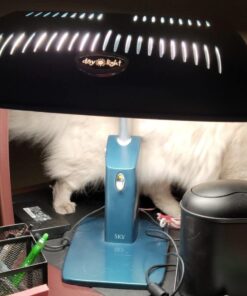 Carex Day-Light Sky Bright Light Therapy Lamp - 10,000 LUX - Sun Lamp To Combat Winter Blues and To Increase Your Energy Turqoise 37 51j0OBTxMaL