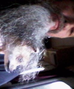 K9 Advantix II Small Dog Vet-Recommended Flea, Tick & Mosquito Treatment & Prevention | Dogs 4-10 lbs. | 4-Mo Supply, 4 Pack Small Dog only 27 51j7JlPc0zL