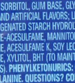 Orbit Peppermint Sugarfree Gum, 14 count (Pack of 24) 21 51jPIag3PXL