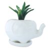 White Elephant Gift Elephant Planter with Saucer Tray. Elephant Gifts, Fits Small Succulent/Flower. Elephant Decor for Home/Office (Elephant, White) Large Elephant 38 51jUGY5cwcL