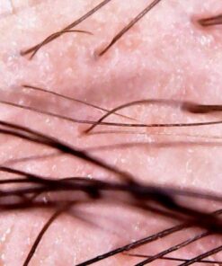 Natrol Biotin Beauty Tablets Promotes Healthy Hair Skin and Nails Helps Support Energy Metabolism Helps Convert Food Into Energy Maximum Strength 10000mcg, Multi, 200 Count 35 51jYuD oYL