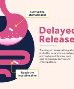 Doctor's Recipes Probiotics for Women, 100 Billion CFU 32 Strains, with Prebiotic Fiber, Enzymes & Cranberry, Vaginal Urinary Digestive & Immune, No Yeast, Shelf Stable, Delayed Release, 30 Caps 18 51jhXJcGqIL