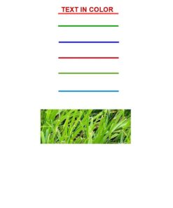 Brother MFC-L8900CDW Business Color Laser All-in-One Printer, Amazon Dash Replenishment Ready MFCL8900CDW: 5” Touchscreen 30 51jkFmFhmoL