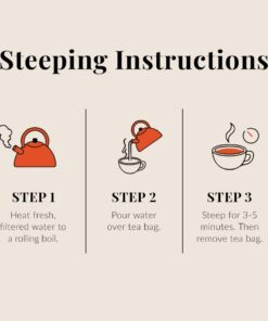 The Republic of Tea Ginger Peach Black Tea, Caffeinated, 50 Count 22 51jkjvAZGtL