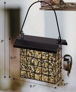 FORUP Suet Bird Feeder, Hanging Suet Feeder, Single Suet Cake Bird Feeder, One Suet Capacity 1 22 51jxWXAM3rL