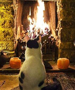 Hongso Fireplace Stove Blower Fan Variable Rheostat Speed On/Off Switch Ctrl with 2 Male Connectors, Fireplace Fan Speed Control 11 51k JEy08mL