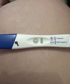 Clearblue Rapid Detection Pregnancy Test, Home Pregnancy Kit, 3 Count 3 Count (Pack of 1) 44 51k yMKYXEL