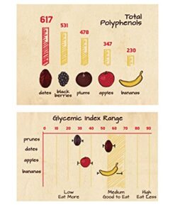 Papa Steve’s No Junk Raw Protein Bars, Banana Oat Dark Chocolate, 2.2 Oz, 10 Count 10 51kDVjy KL