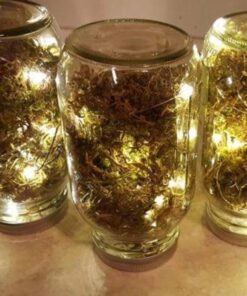 Lighting EVER Fairy Lights Battery Operated 20 LED Mini String Lights, Small Pixie Lights for Mason Jars, Crafts, DIY Wedding Party Centerpieces, Bedroom Wall Vines Holiday Garland, 8 Pack Pack of 8 Units 44 51kHrL2YALL