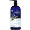 Avalon Organics Therapy Thickening Shampoo, Biotin B-Complex, 32 Oz 32 Fl Oz (Pack of 1) 6 51kPkibiuSL