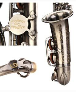 GLORY Engraved Flower Design High Grade Antique Finish Series PR4, E Flat Alto Saxophone with 11reeds,8 Pads Cushions,case,carekit 33 51kmmUUaSDL