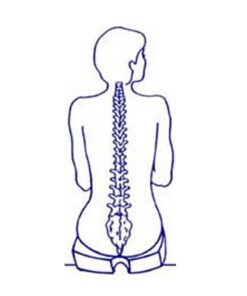 Extra Firm Tush Cush Car Computer Airplane Travel Seat Cushion Black 4 51ktpJXlwdL