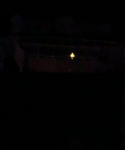 GAME 8002 Solar Light-Up Derby Pool 3”-Tablet Chlorine Dispenser LED Light Sensor Expandable Basket Adjustable Flow Rate Duck, Tiki, Globe, Pineapple, and Volcano, Older Version 47 51kv8KRn6AL