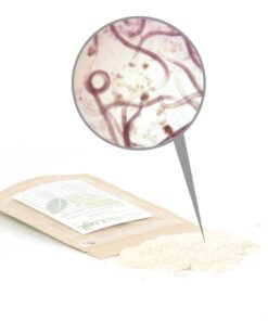 BioLogic Scanmask Beneficial Nematodes, Steinernema feltiae Sf Nematodes for Natural Insect Pest Control (10 Million) 9 51kzhaxxnkL