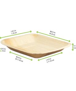 Palm Leaf Square Plate with Rounded Corners (Case of 100), PacknWood - Eco Friendly Compostable Wooden Disposable Plates (6" x 6" x 0.8") 210BBA1717 100 Pieces 6" x 6" 15 51l dFSC16L