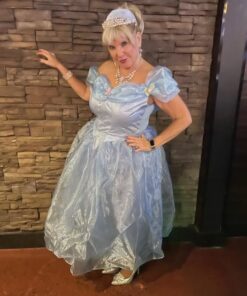 Disney Disguise Women's Cinderella Movie Adult Deluxe Costume Large Blue 16 51l17WyoxL