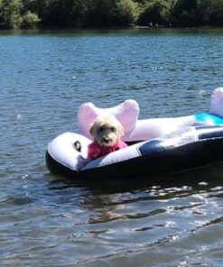 Bestway CoolerZ Rapid Rider Inflatable 2 Person Blow Up Pool River Tube Lake Lounger Float with Cup Holders, Handles, Backrest and Mesh Bottom, Blue 18 51l2GUJgl0L