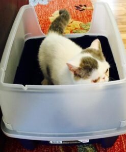 IRIS USA Open-Top Cat Litter Box with Shield and Scoop, Navy 38 51lGUImsJ1L