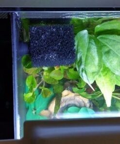 Fluval SPEC Freshwater Aquarium Kit, Aquarium with LED Lighting and 3-Stage Filtration, 2.6 Gallon, Black, Large Breeds 2.6 Gal. 51 51lTwcRZNVL