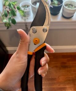 Fiskars Bypass Pruning Shears 5/8” Garden Clippers - Plant Cutting Scissors with Sharp Precision-Ground Steel Blade Bypass Pruner 31 51laXnOYkcL