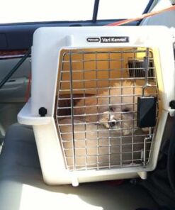 Petmate Ultra Vari Dog Kennel for Small Dogs (Durable, Heavy Duty Dog Travel Crate, Made with Recycled Materials, 21 in. Long) up to 15 lbs, Made in USA TAUPE 21.0"L x 16.0"W x 15.0"H 27 51ltDMbWtqL