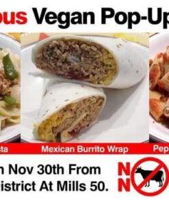 Bob's Red Mill Textured Vegetable Protein, 10 Ounce (Pack of 4) 34 51lv8h7I DL