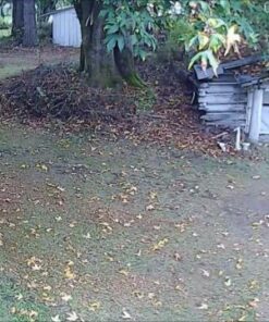 Zmodo Outdoor Security Cameras Wifi - 1080p Full HD Surveillance Cameras for Home Security with Night Vision, IP 66 Weatherproof, Plug-In, Motion Detection, 4 Pack 4 Count (Pack of 4) 56 51lzTe3qTCL