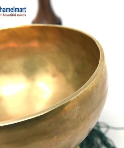 10" Large Master Healing Hand hammered Tibetan Singing Bowl ~ Great for Meditation, Yoga, Sound Bath, Mindfulness, Relaxation ~ Cushion, Wooden Mallet & Drumstick Included 17 51mLxwsL