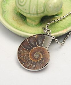 JOYA GIFT Charm Handmade Natural Conch Fossil Ammonite By Silver Wrapped Pendant Necklace (1 PCE). 37 51mOEj50gGL