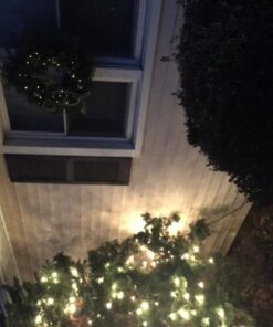 Lighting EVER Fairy Lights Battery Operated 20 LED Mini String Lights, Small Pixie Lights for Mason Jars, Crafts, DIY Wedding Party Centerpieces, Bedroom Wall Vines Holiday Garland, 8 Pack Pack of 8 Units 48 51mP7JHqfgL