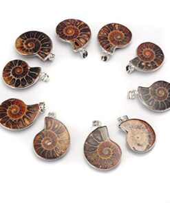 JOYA GIFT Charm Handmade Natural Conch Fossil Ammonite By Silver Wrapped Pendant Necklace (1 PCE). 35 51mg3iIBKdL