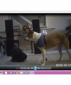 1080P HD USB Wall Charger Hidden Spy Camera/Nanny Spy Security Camera Adapter | 32GB Internal Memory (with Video Quality Proof) 9 51miNsE8L0L