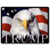 Trump for President 2016 Eagle Vinyl Sticker - Car Window Bumper Laptop - Select Size (B) Regular: 6" 6 51mokEB9gOL